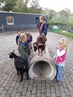 IMG-20181012-WA0005