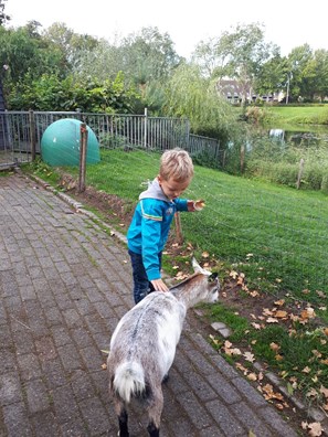 IMG-20181012-WA0007