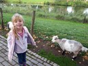 IMG-20181012-WA0009