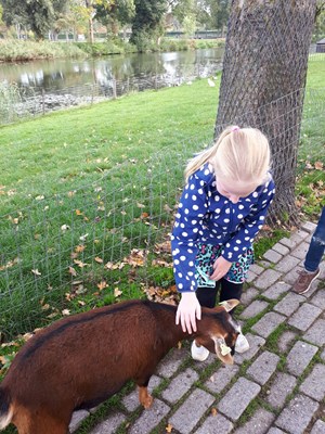 IMG-20181012-WA0010