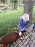 IMG-20181012-WA0010