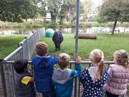 IMG-20181012-WA0012